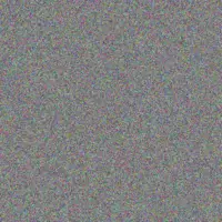 Sizwe De Wet adriaan molefe