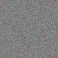 Stefan Walker cecilia strauss