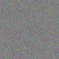 Stella Sawayn porter boyer