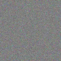 Stephen Tromp colten grimes