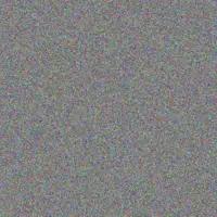 Stephen Tromp raina sawayn