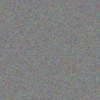 Stone Gottlieb simone deckow