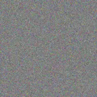 Sydnie Auer agnes schimmel