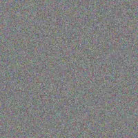 Sydnie Auer chloe beer