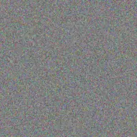 Sydnie Auer madaline shanahan