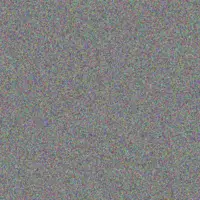 Talon Rodriguez chelsie schuster