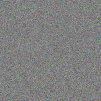 Talon Rodriguez marina heller