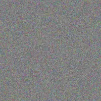 Tara Murray joe reid