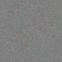 Tasneem Gouws anna modise