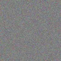 teboho Patel veronica bailey