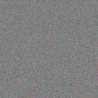 teboho Wolmarans nokuthula moodley