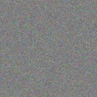 thandeka Botha next hlophe