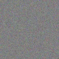 thandeka Harris karabo rautenbach