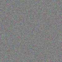 thandeka Harris rachel labuschagne