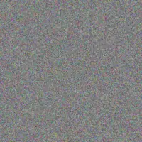 Thandeka Kelly garth mouton