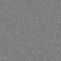 Thandi Coetzer peter robinson