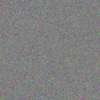 Thando Ledwaba norman evans