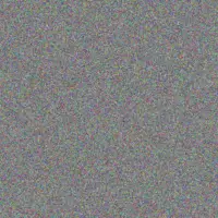 Thulani Gordon robyn beukes