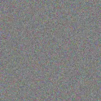 thulani Khan charl mashego