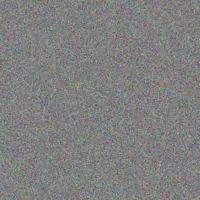 thulani Mtshali celeste olivier