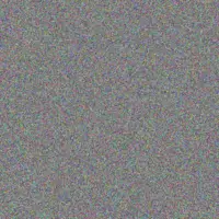 Tia Stamm shaina thiel