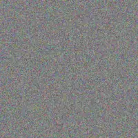 Tom Stracke brando bosco