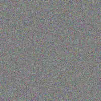 Tracey Schoeman adriaan moloi