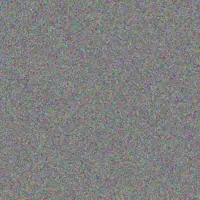 Tracey Schoeman kobus simelane