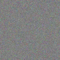 Tracey Schoeman melissa schoeman