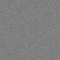 Tracey Schoeman yvonne nxumalo