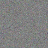 Trevor Andrews cindy legodi