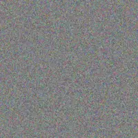 Ursula Details sydney dladla