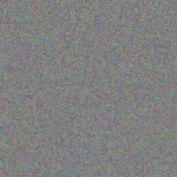 Victor Carstens nomfundo motsepe