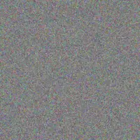 Vincent Khumalo chantelle van staden