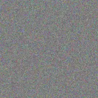 Vincent Stander deon hlophe