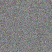 Vincent Stander diane gumede