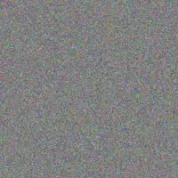 Vincent van der Westhuizen katlego martin