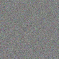 Vincent van der Westhuizen tony mohamed