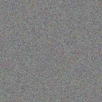 vusi Langa julie nieuwoudt