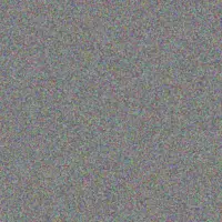 Vuyokazi Cele bradley labuschagne