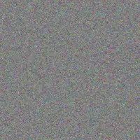 vuyokazi Nortje hannes walters