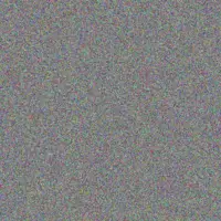 Wade Rempel ezequiel wyman