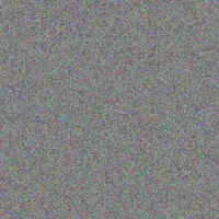 Wade Rempel mollie kuvalis