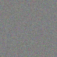 Warren Pienaar musa van dyk