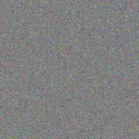 Wayne Kelly roxanne wilson