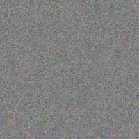 Wendy De Bruin mohammed wentzel