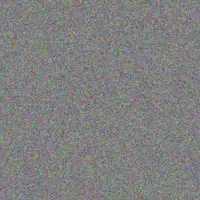 Wendy Mchunu carol nhlapo