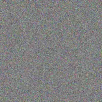 Whitney Goldner alysson willms