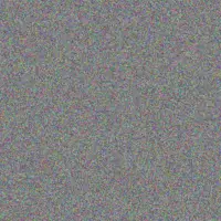 Willem Jonker nhlanhla buthelezi