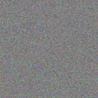 Willem Lourens johann ngobeni